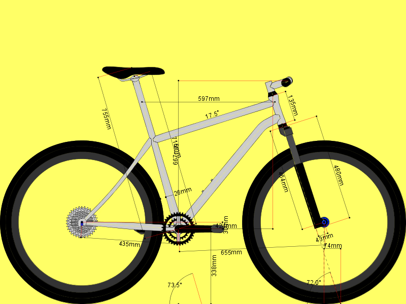 Custom 29er