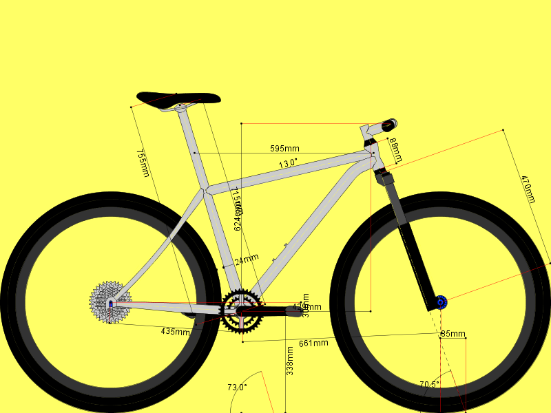 Custom 29er