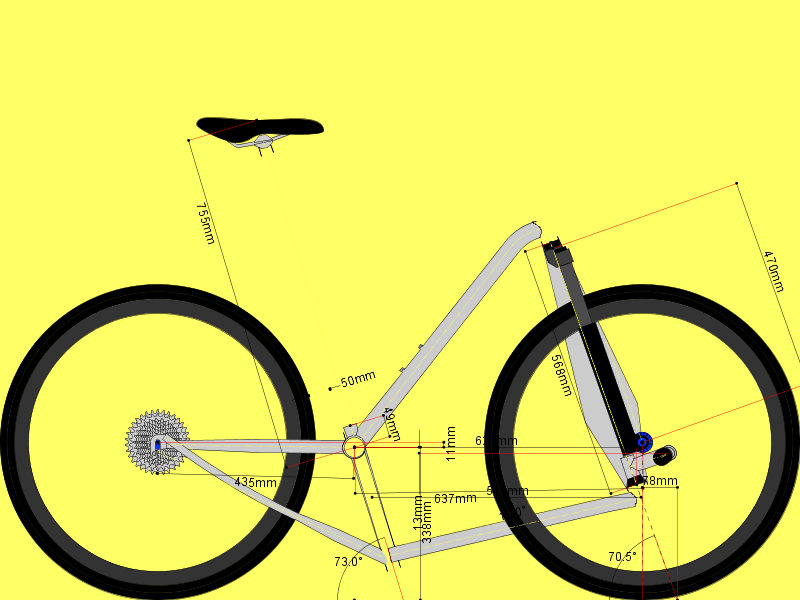 Custom 29er Custom 29er