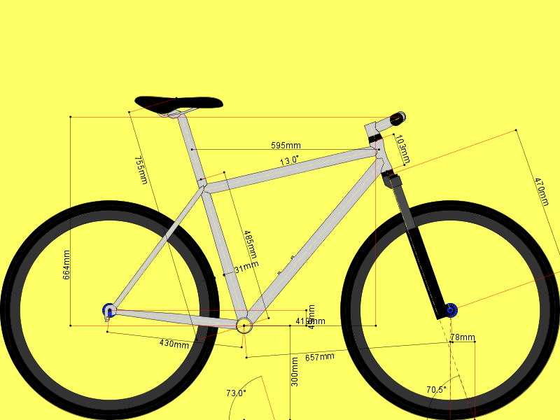 Custom 29er Custom 29er