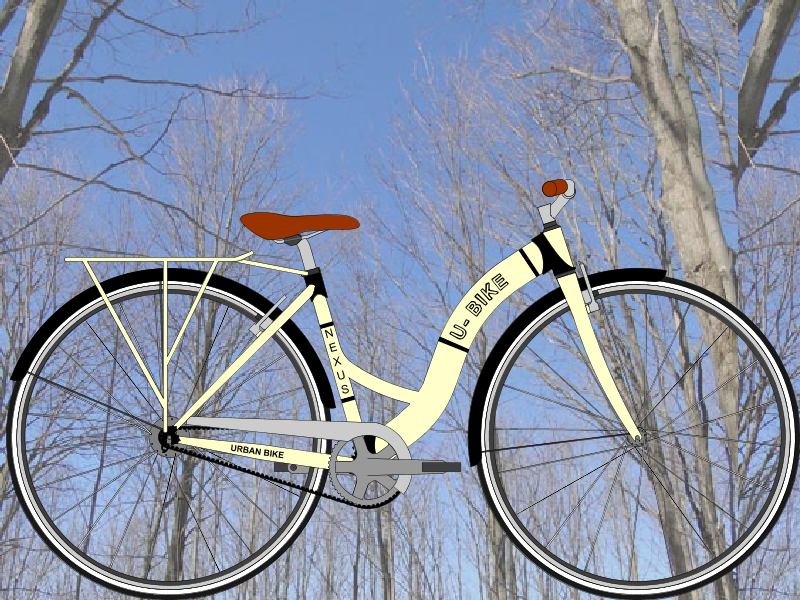 Urban Bike Nexus 700