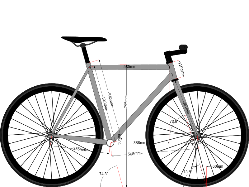 Old Field Super Pake (curent bikeset up)
